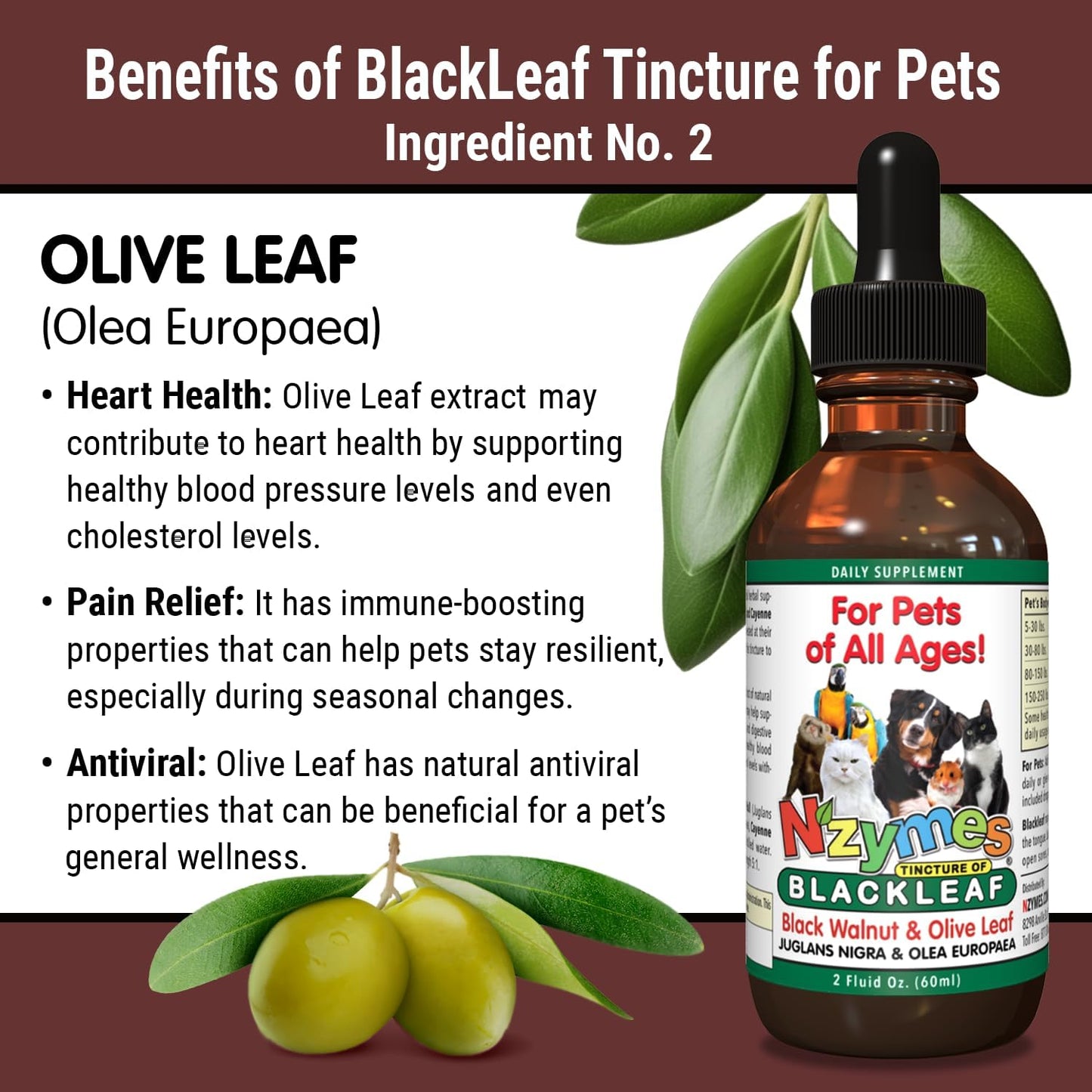 Pet-Friendly Nzymes BlackLeaf Tincture - Natural Relief for Pets