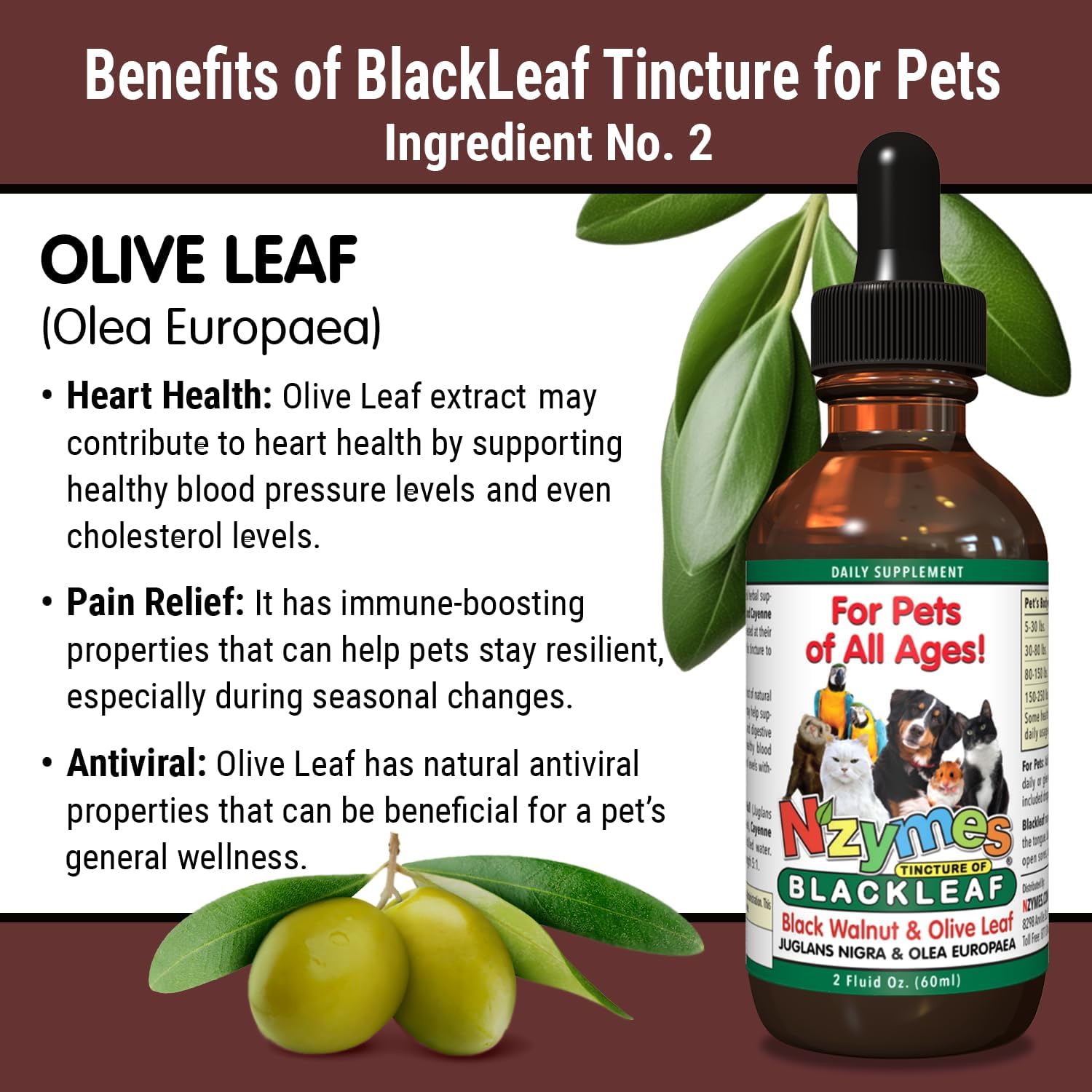 Pet-Friendly Nzymes BlackLeaf Tincture - Natural Relief for Pets