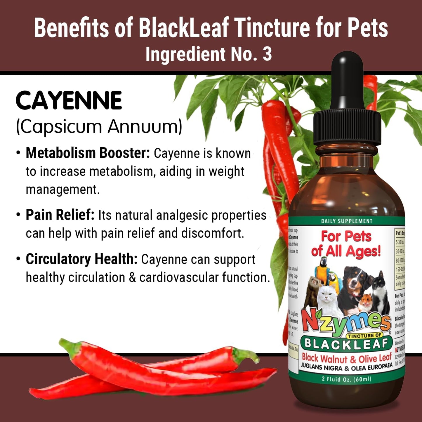 Pet-Friendly Nzymes BlackLeaf Tincture - Natural Relief for Pets