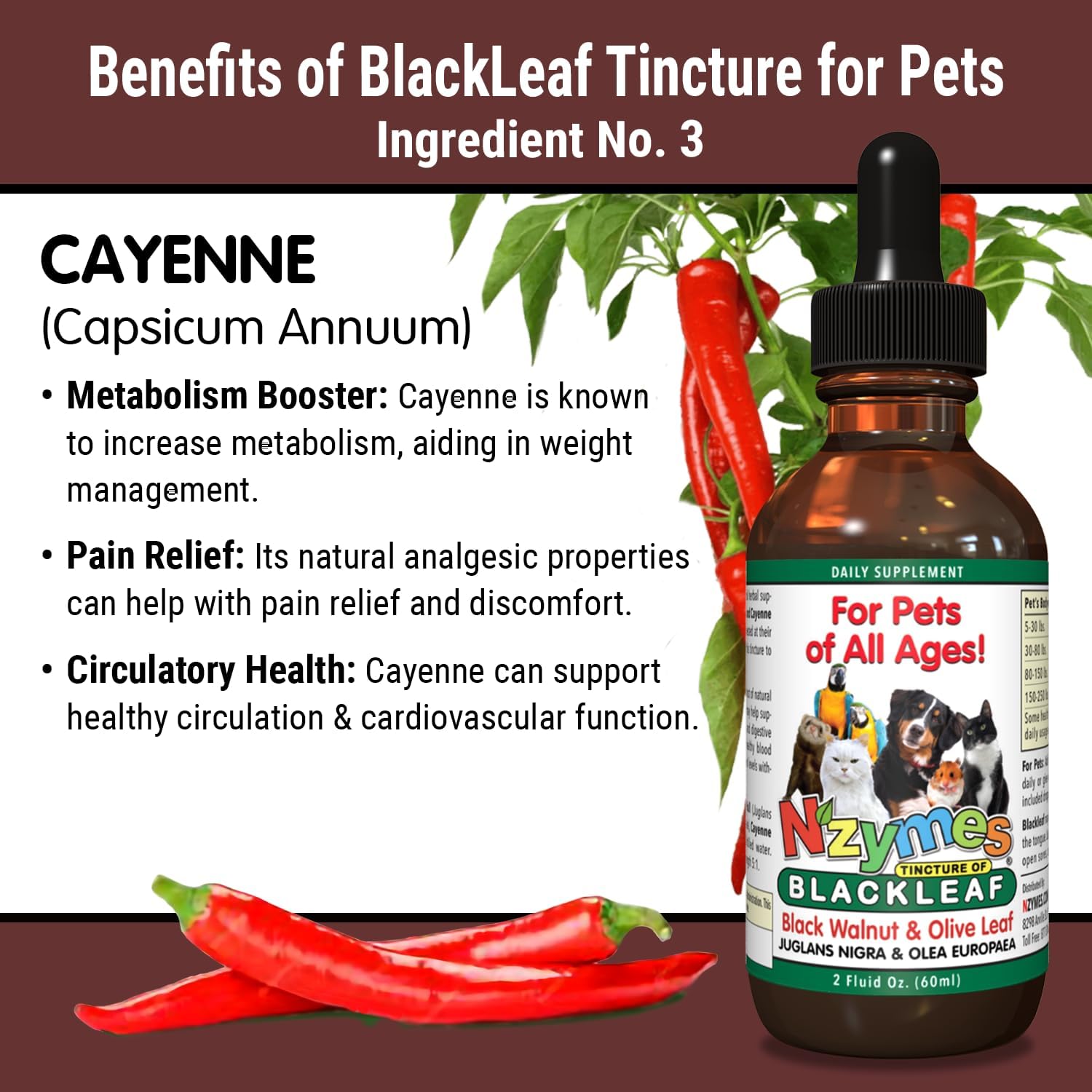 Pet-Friendly Nzymes BlackLeaf Tincture - Natural Relief for Pets