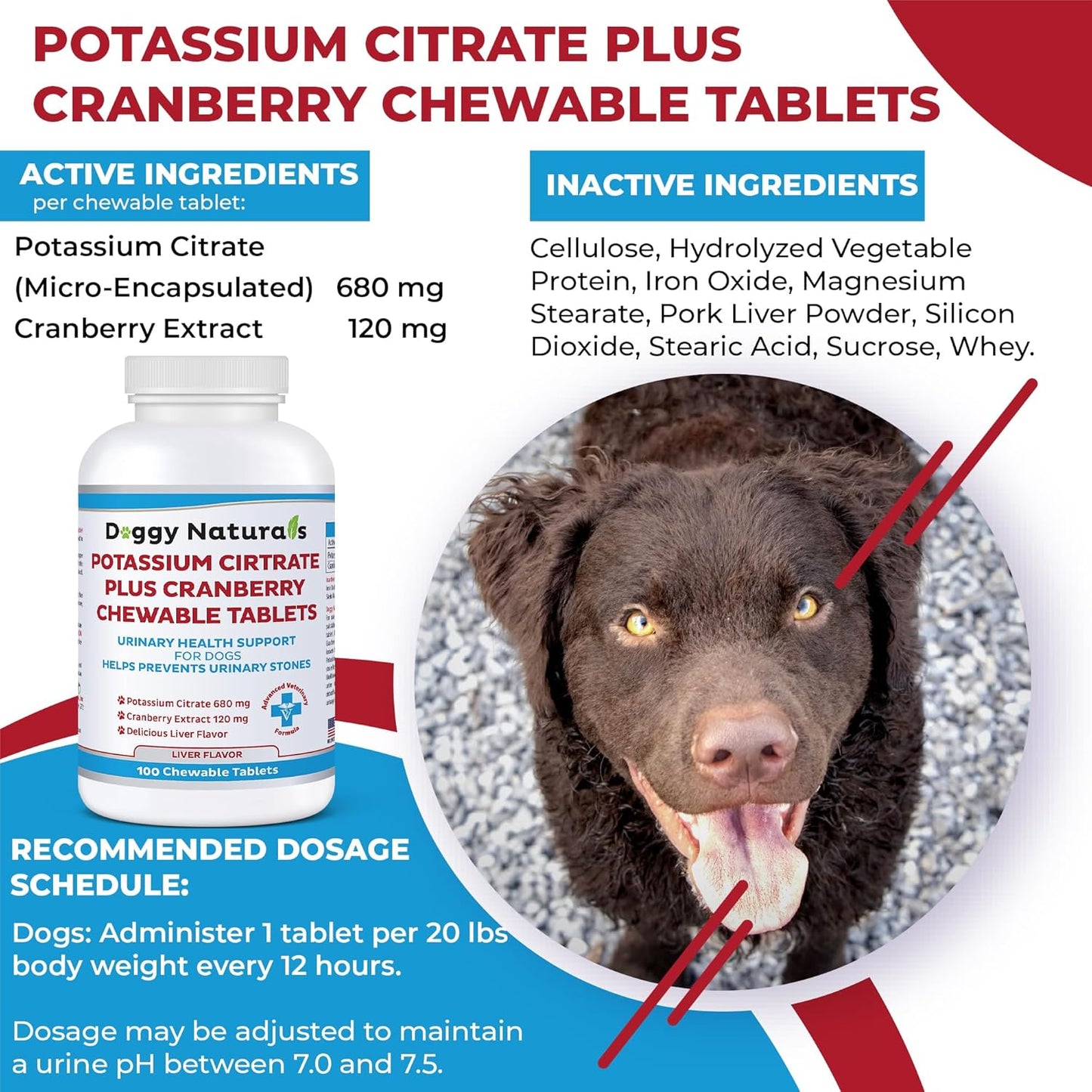 Pet Health Pharma Potassium Citrate & Cranberry Supplement for Dogs - 100 Tablets - Urinary Tract Support - Prevents Calcium Oxalate Stones - Bladder & Kidney Stone Deterrent - Made in USA