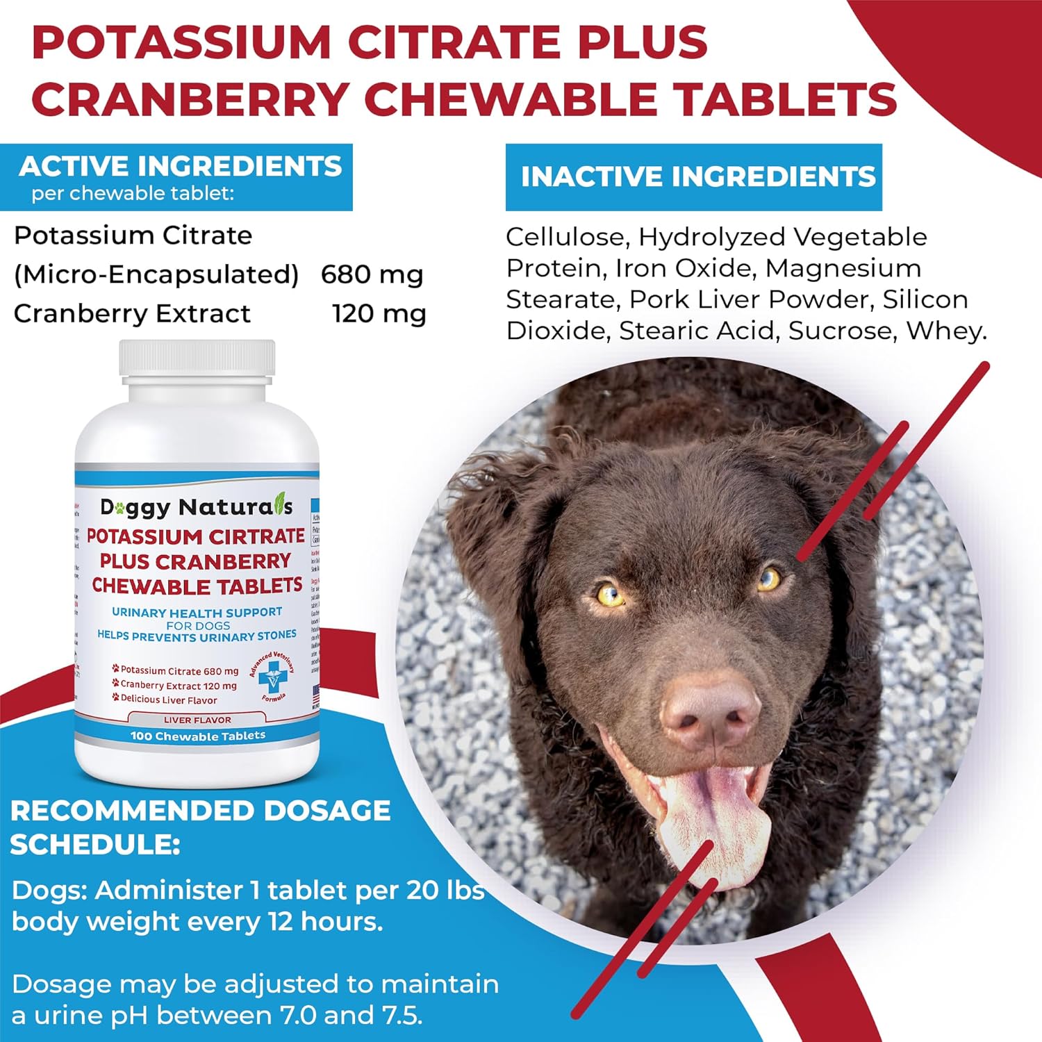 Pet Health Pharma Potassium Citrate & Cranberry Supplement for Dogs - 100 Tablets - Urinary Tract Support - Prevents Calcium Oxalate Stones - Bladder & Kidney Stone Deterrent - Made in USA