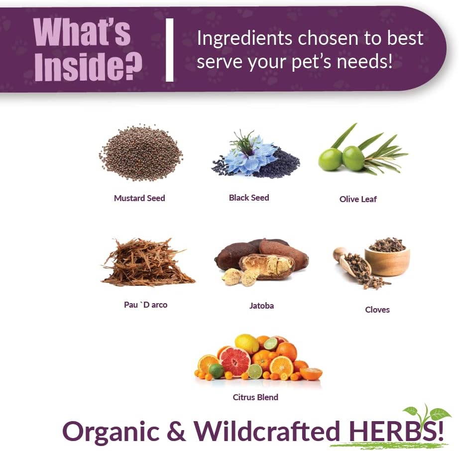 Pet Herbal Supplement for Healthy Stool Support - Amber NaturalZ Kochi Free Herbal Formula | 16 oz Glass Bottle | Made in USA