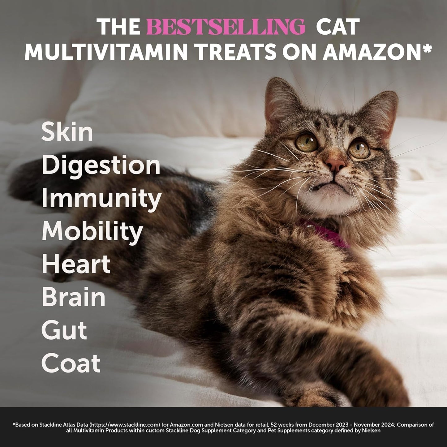 Pet Honesty Cat Multivitamin Crunchy & Creamy Chews - Cat Treats for Health + Immune Support, Joint Care, Skin & Coat Health, Digestive Health - Omega 3s, Lysine & Probiotic Vitamins - 30 Day Supply