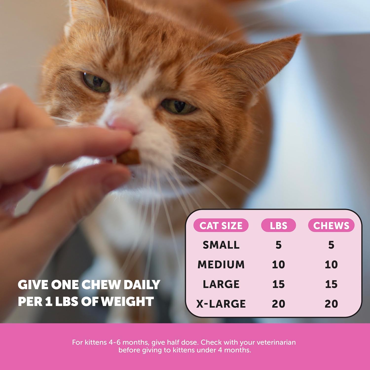 Pet Honesty Cat Multivitamin Crunchy & Creamy Chews - Cat Treats for Health + Immune Support, Joint Care, Skin & Coat Health, Digestive Health - Omega 3s, Lysine & Probiotic Vitamins - 30 Day Supply