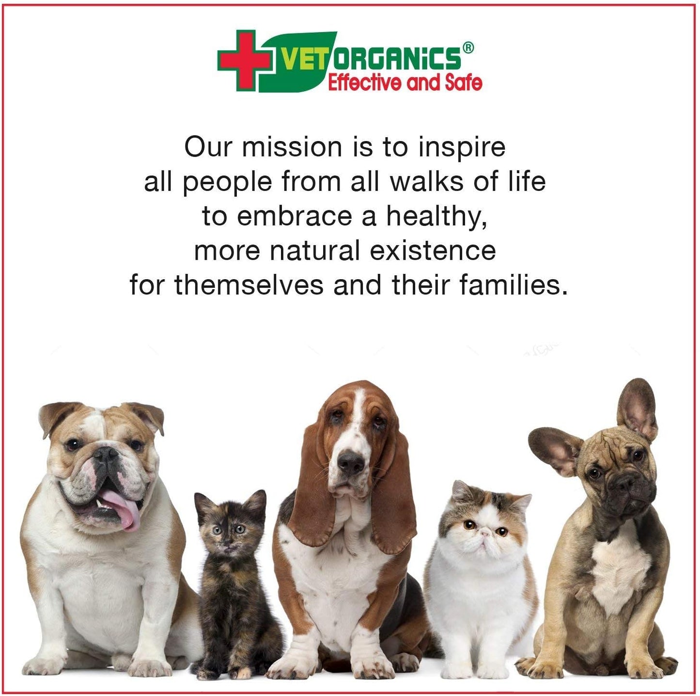 Pet Immune System Support Supplement - Natural Ingredients for Healthy Dogs & Cats - Easy to Add to Food - 4 oz