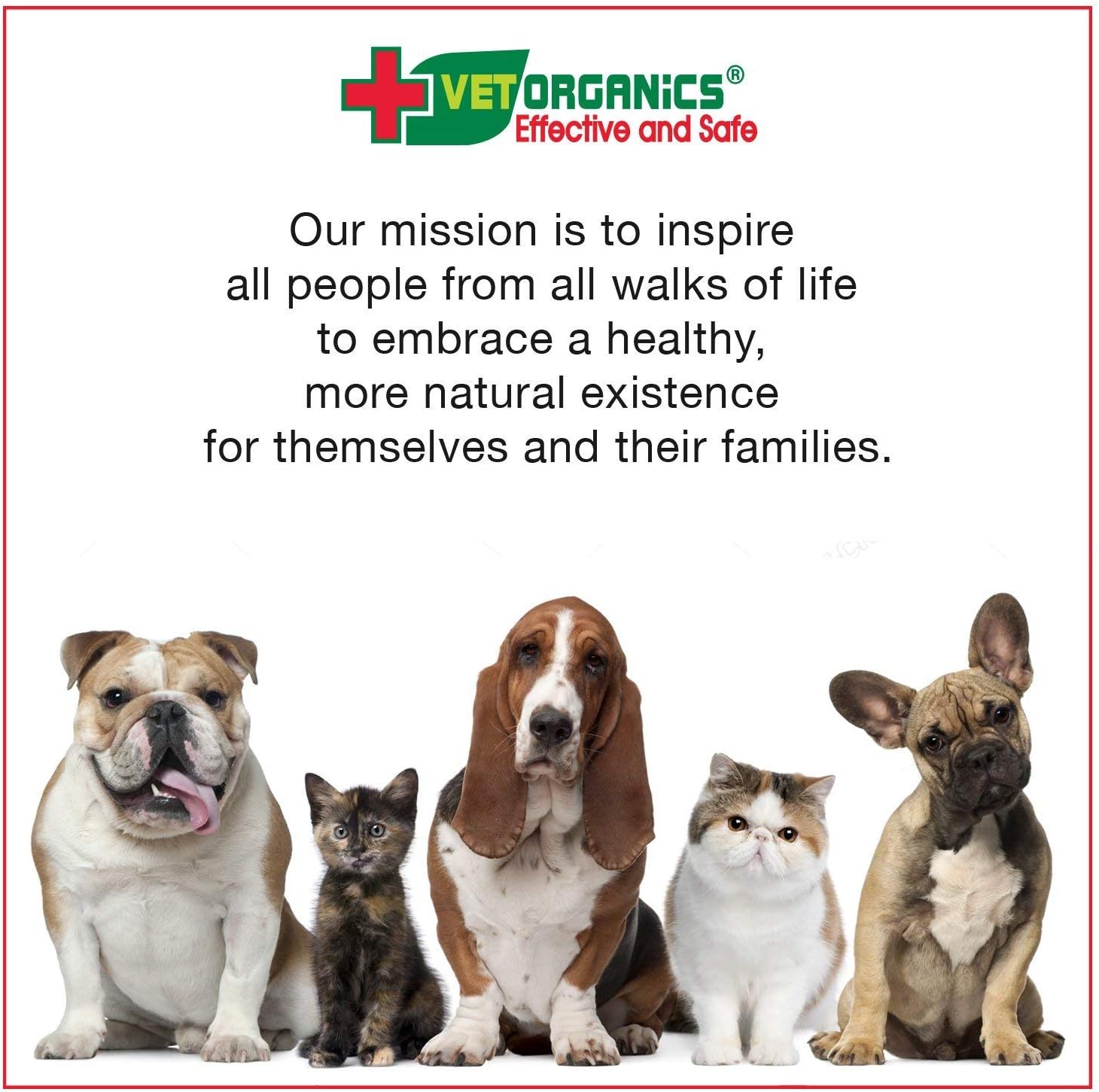 Pet Immune System Support Supplement - Natural Ingredients for Healthy Dogs & Cats - Easy to Add to Food - 4 oz