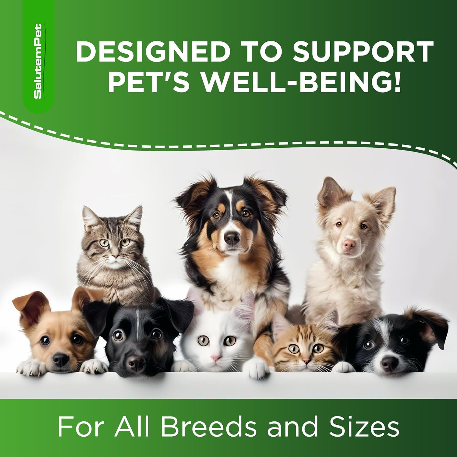 Pet Liquid Multivitamin for Dogs and Cats - 2 Pack | Vitamin for Pets - Cat Supplements for Health and Wellness
