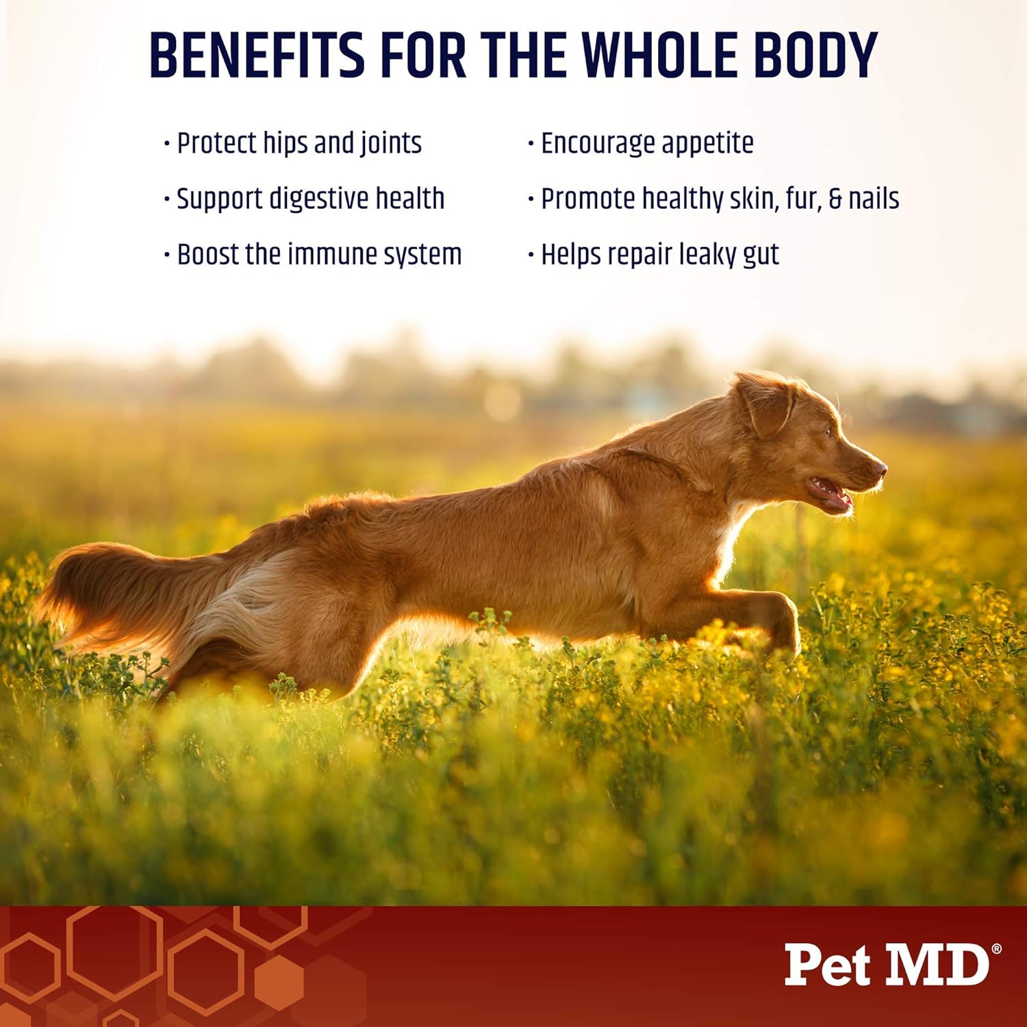 Pet MD Elk Bone Broth Dog Food Topper - Supports Joints & Digestion - 4 oz