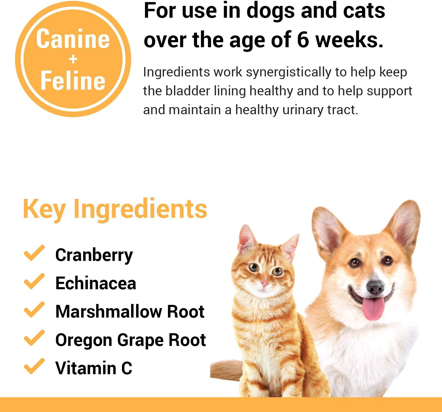 Pet Supplement for Urinary Tract Health - Cranberry Comfort Soft Chews for Dogs and Cats - Supports Bladder Control and Incontinence - 65 Count