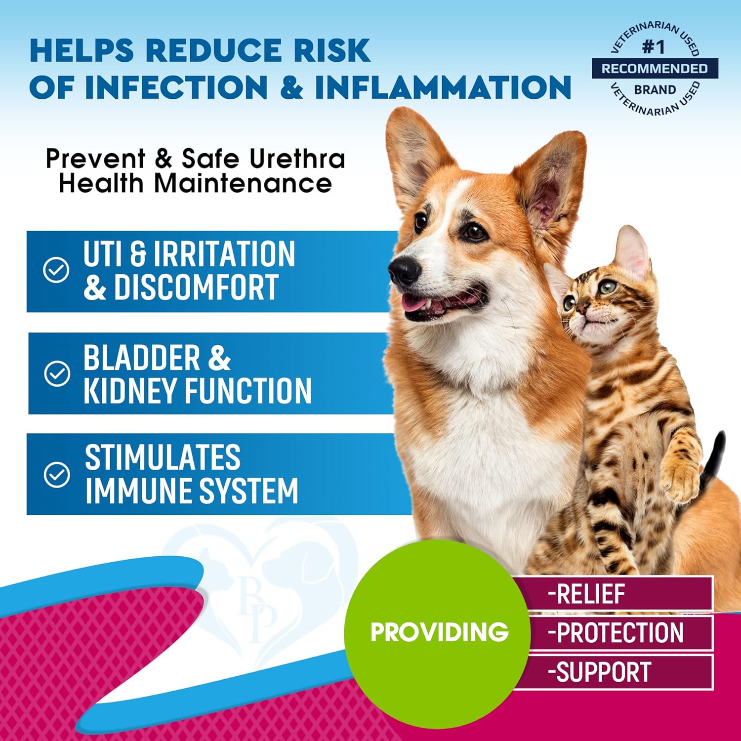 Pet Urinary Tract Infection Treatment with Cranberry - Natural UTI Medicine for Cats & Dogs - Support for Kidney, Bladder, and Renal Health - Prevent Incontinence and Bladder Stones