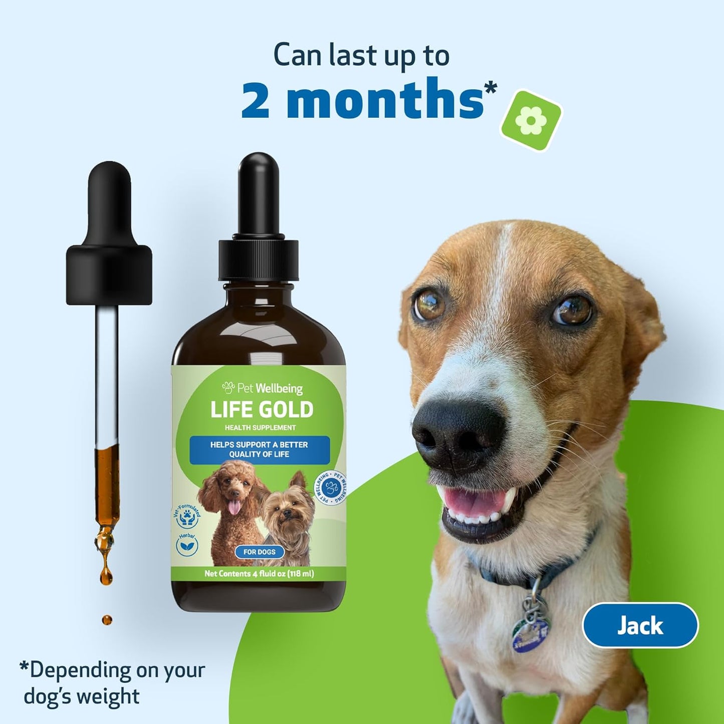 Pet Wellbeing Life Gold for Dogs - Herbal Supplement for Immune Support, Antioxidants, Cellular Health, and Detoxification - Veterinarian Formulated - 4 oz