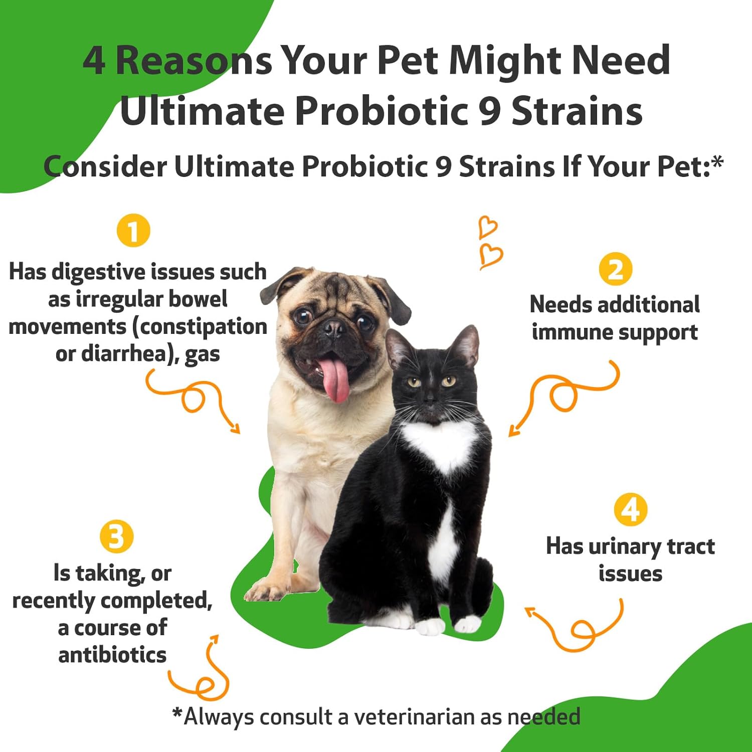 Pet Wellbeing Ultimate Probiotic Powder for Dogs & Cats - 9 Strains, 2.5 Billion CFU, Gut & Immune Support - 11.29 oz
