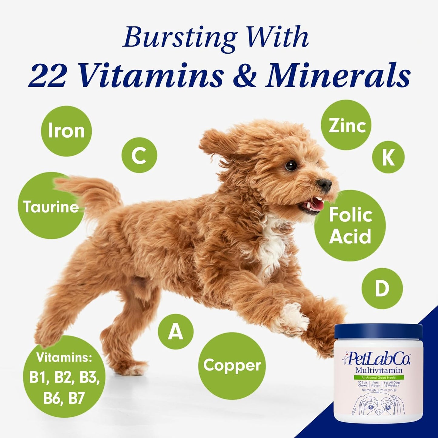 PetLab Co. 22 in 1 Dog Multivitamin - Boost Immune System, Skin, Coat, Joints & Health - Chewable Pork Flavored Supplement with Vitamins & Minerals