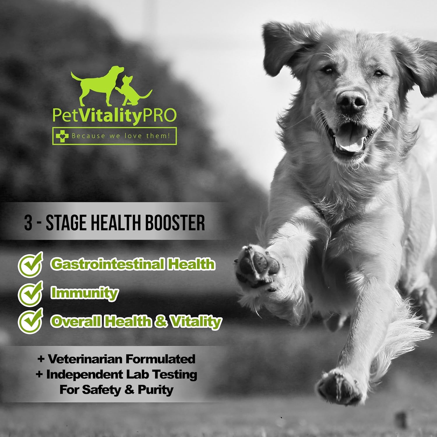 PetVitalityPRO Probiotic Soft Chews for Dogs with Digestive Enzymes - 4 Billion CFUs - Supports Gut Health and Immune System - 60 Count