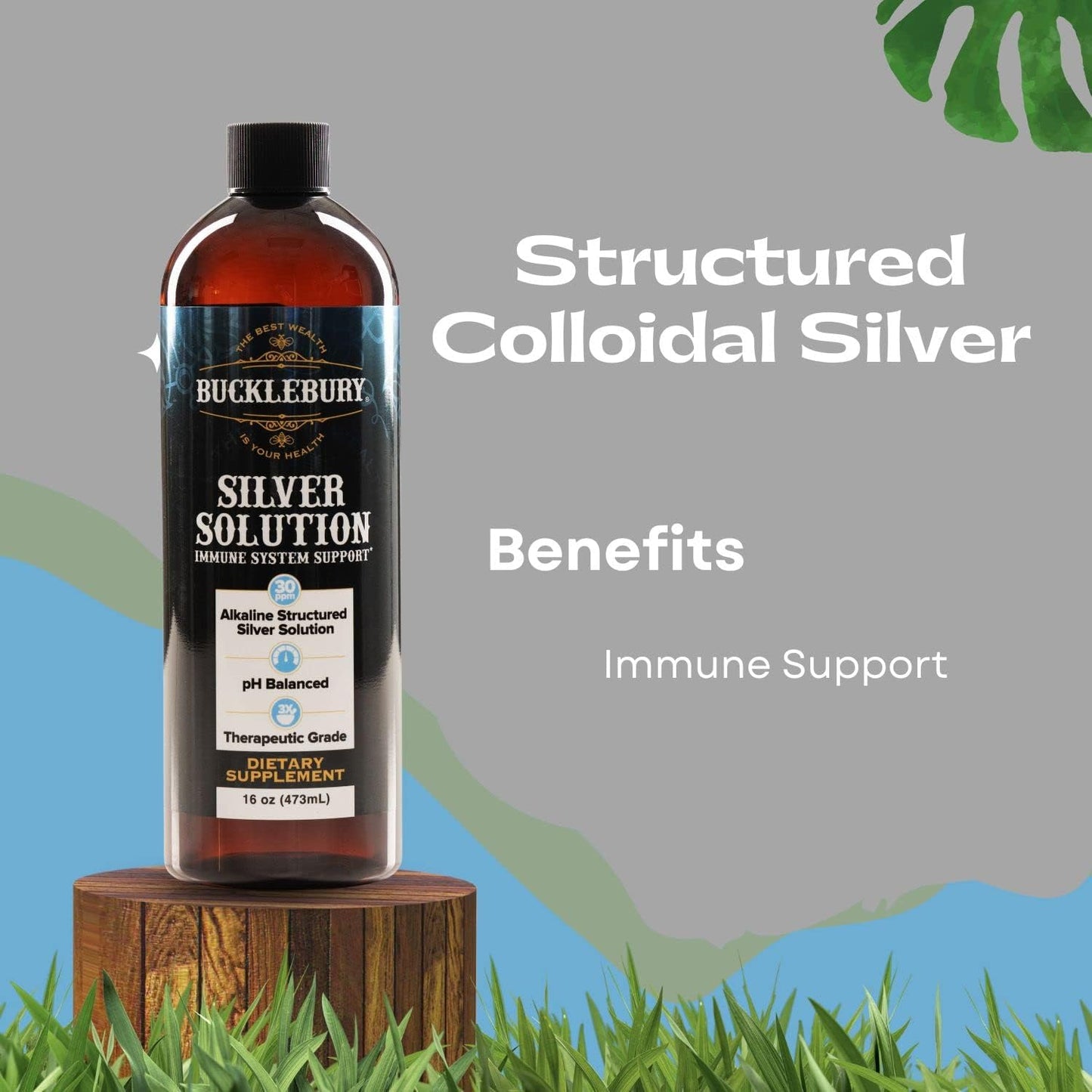 pH Balanced Alkaline Structured Silver Solution for Daily Immune Support - 30ppm, 16 oz Bottle - Gluten Free Formula by BUCKLEBURY