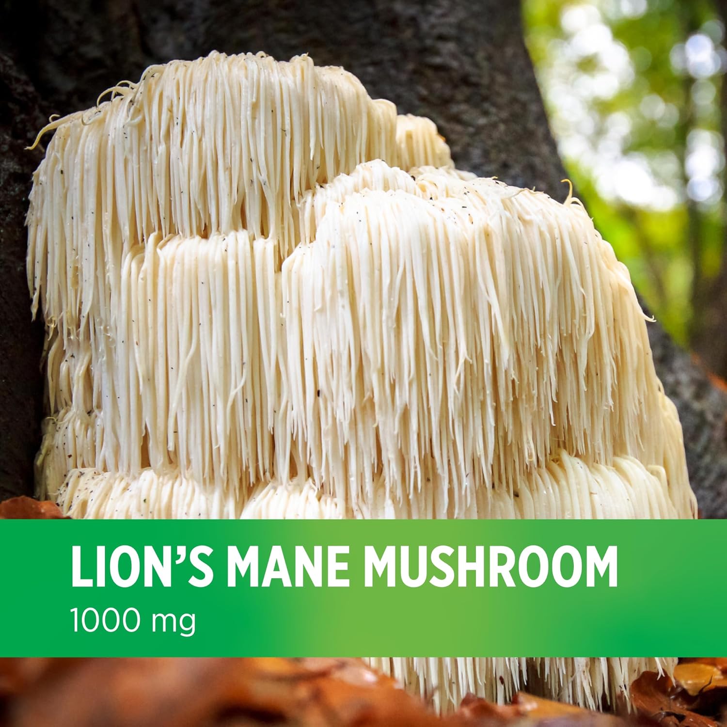Physician-Recommended Lion's Mane Mushroom Supplement - 1,000 mg per Serving, 60 Vegan Capsules for Brain Health and Wellness. (30-Day Supply)