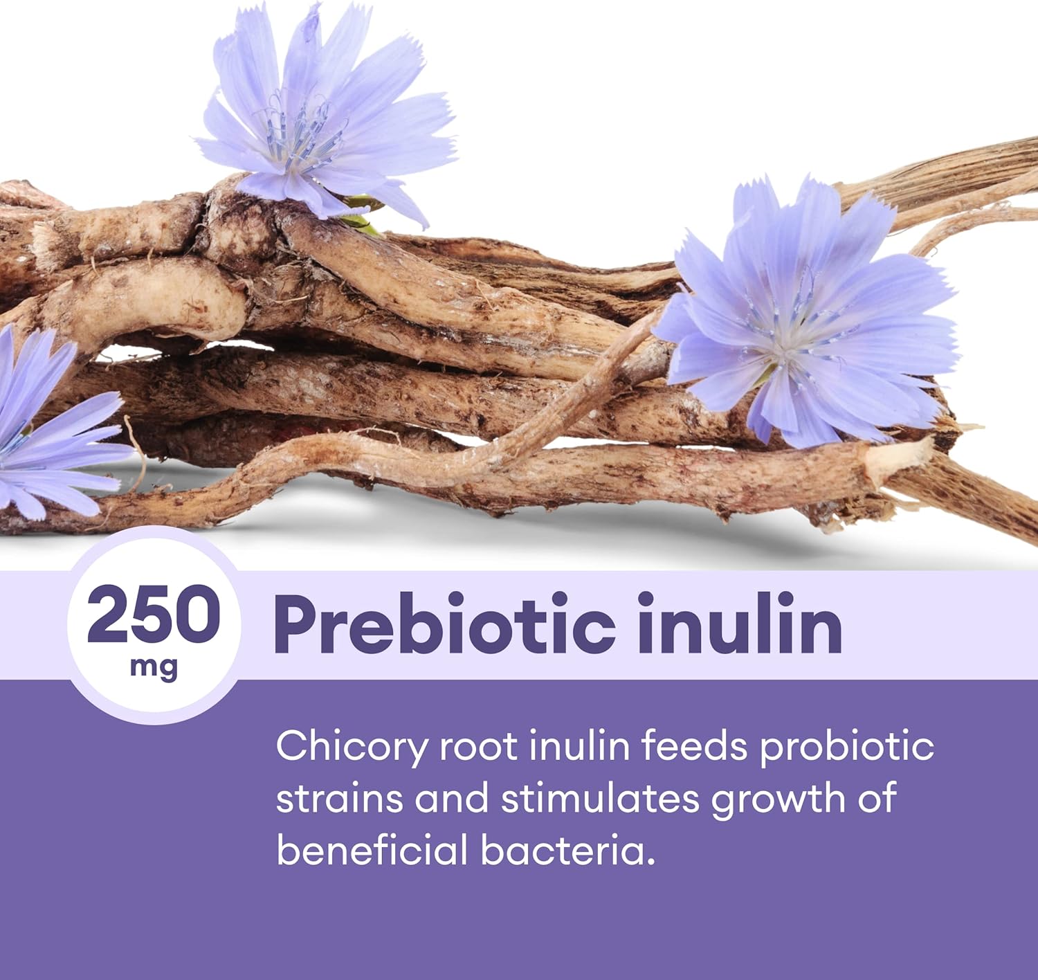 Physician's CHOICE Prebiotic-Probiotic for Digestive Health - Multi-Strain Probiotics & Prebiotics - Supports Gut Microbiome - Powerful Gut Health Supplement for Women & Men