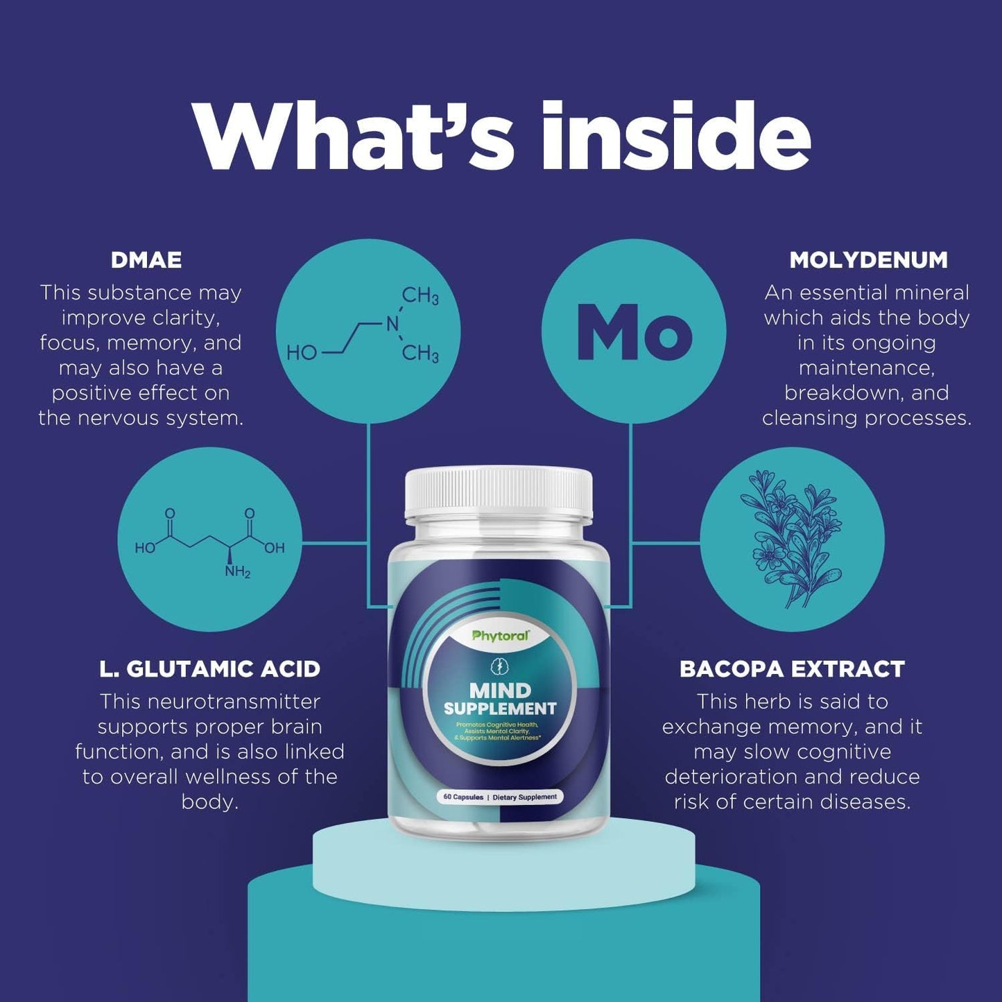 Phytoral Nootropic Brain Supplement - Memory & Focus Enhancer - Cognitive Health Complex - 60 Capsules