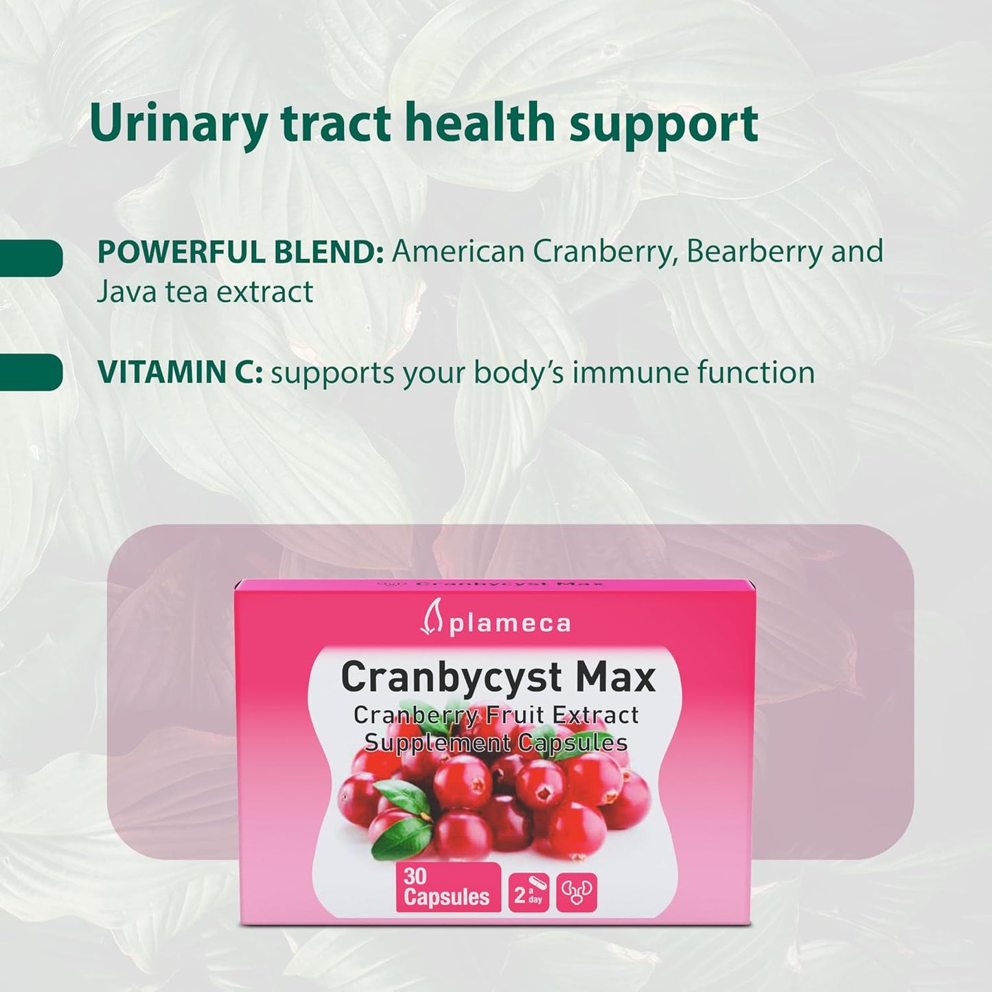 Plameca Cranbycyst Max: Urinary Tract Health Support with Cranberry Fruit Extract and Vitamin C - 30 Capsules