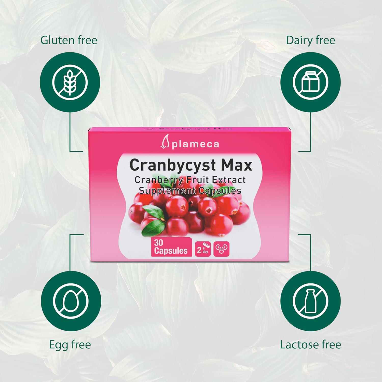 Plameca Cranbycyst Max: Urinary Tract Health Support with Cranberry Fruit Extract and Vitamin C - 30 Capsules