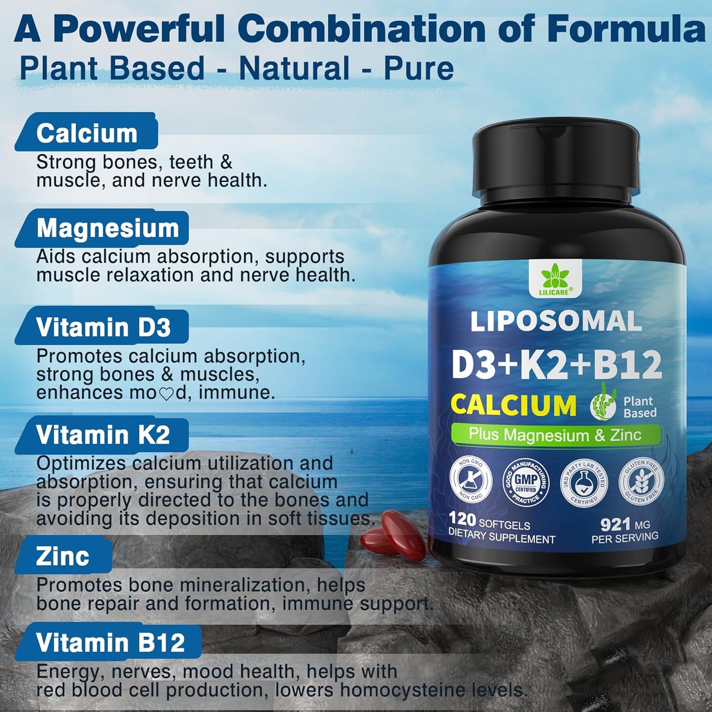 Plant-Based 6-in-1 Liposomal Vitamin D3 K2 Calcium Supplement - Vegan Calcium 600mg with Vitamin D 5000 IU, K2 MK7, B12, Algae Magnesium Zinc - Max Absorption Bone Support - 1 Pack