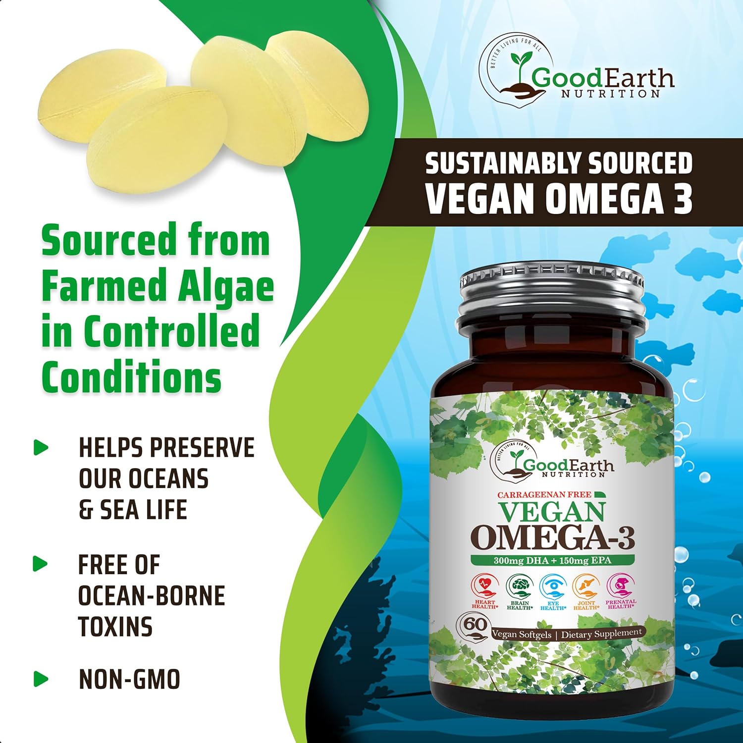 Plant Based Algal DHA/EPA Softgels - Vegan Omega 3 Supplement for Brain, Heart, Joints & Prenatal Health - Carrageenan Free - 60 Capsules