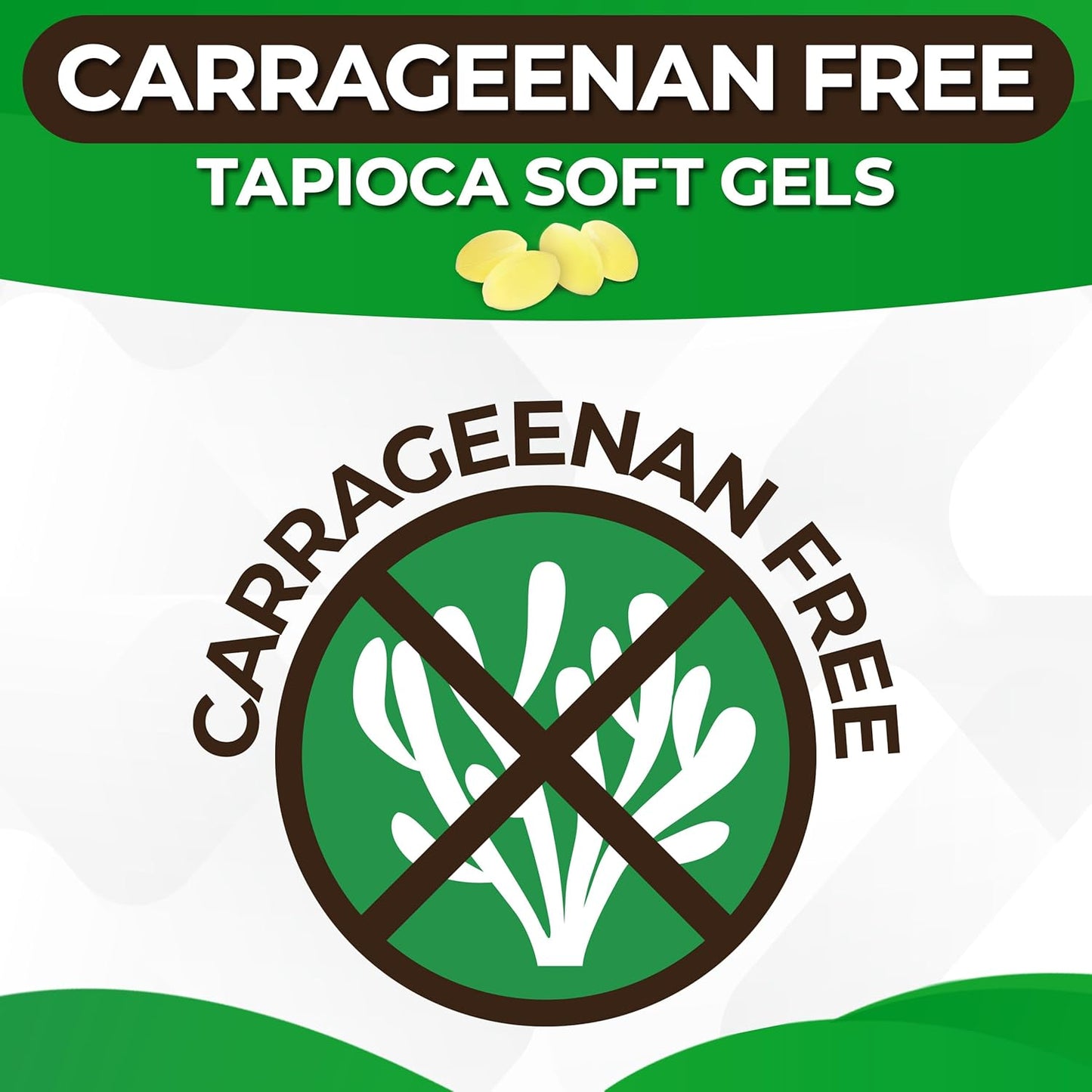 Plant Based Algal DHA/EPA Softgels - Vegan Omega 3 Supplement for Brain, Heart, Joints & Prenatal Health - Carrageenan Free - 60 Capsules