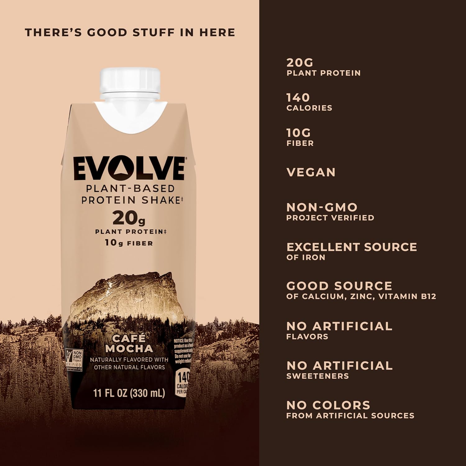 Plant Based Café Mocha Protein Shake - 20g Vegan Protein, Dairy Free, Non-GMO, 10g Fiber - 11oz (12 Pack)