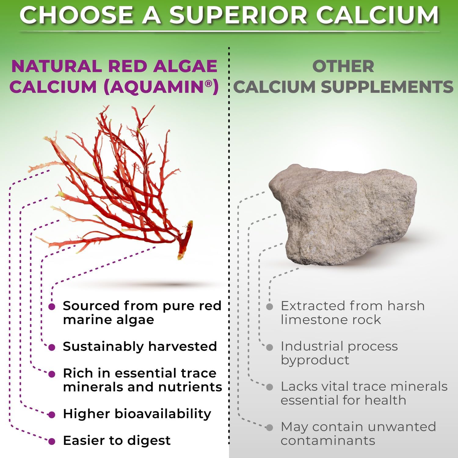 Plant-Based Calcium 500mg with Aquamin, Magnesium, Zinc, D3, K2, Turmeric - Bone & Muscle Health, Immune Support - 90 Count Vegan Supplements