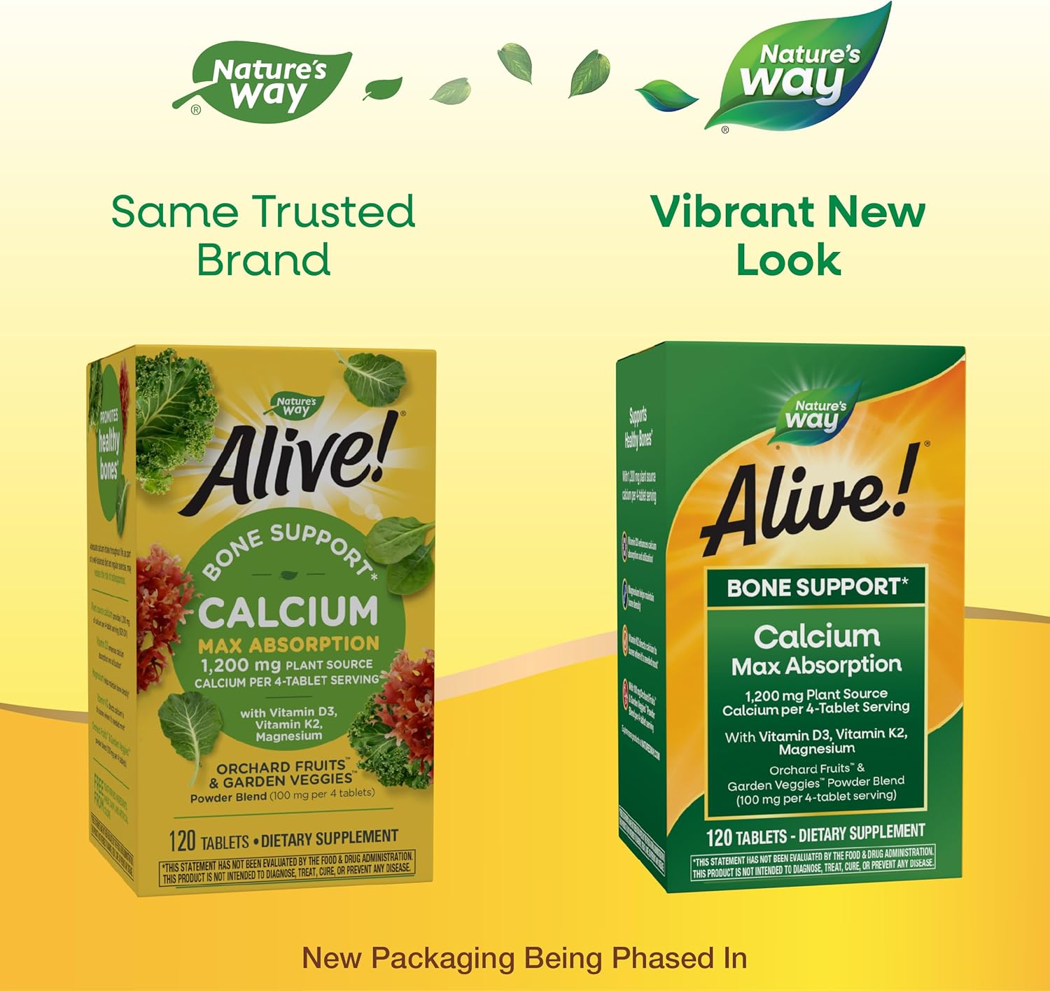 Plant-Based Calcium for Bone Support with Vitamin D3, K2, and Magnesium, 120 Tablets by Nature's Way Alive!