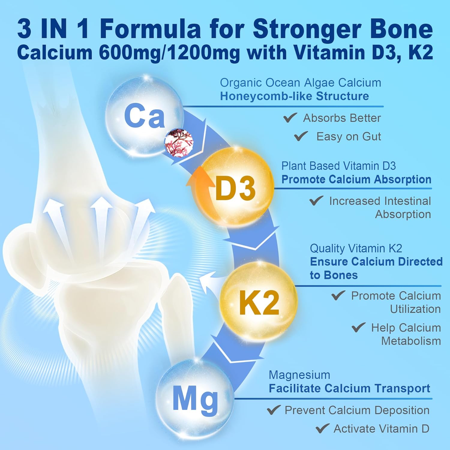 Plant-Based Calcium Supplement with D3, K2, and Magnesium for Bone Health - Vegan Gummies, 2 Pack