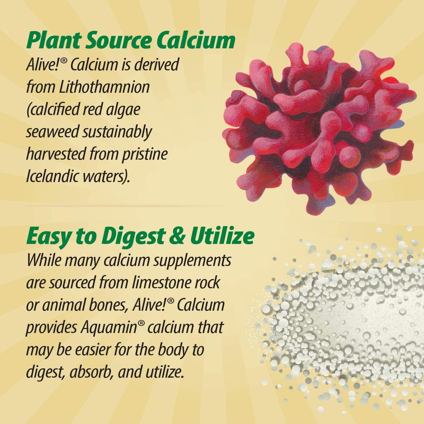 Plant-Based Calcium Supplement with Vitamin D3 & K2 for Bone Health - Nature's Way Alive! Calcium, Magnesium, 60 Tablets