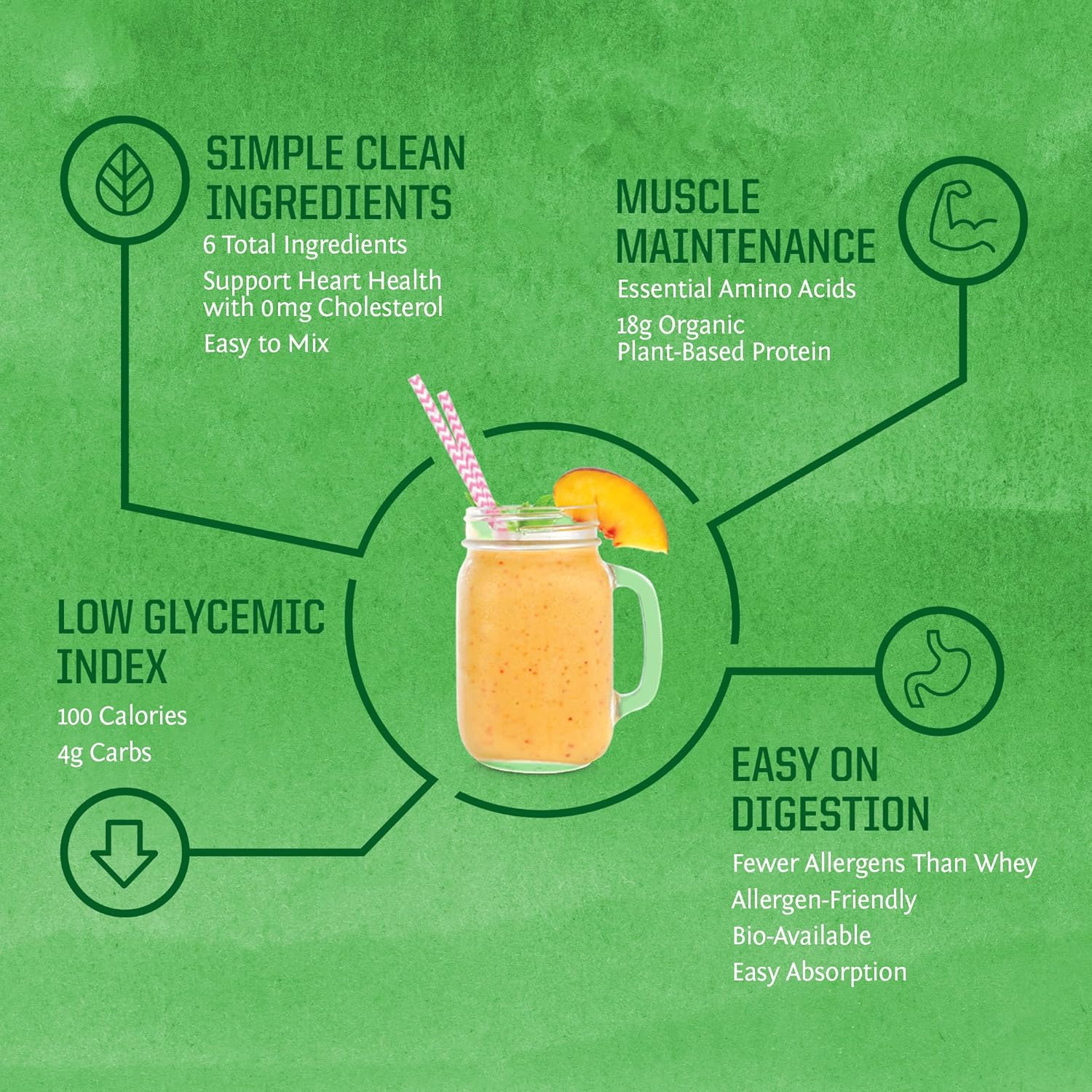 Plant-Based Chocolate Protein Powder with Collagen Building Hyaluronic Acid - 30 Servings