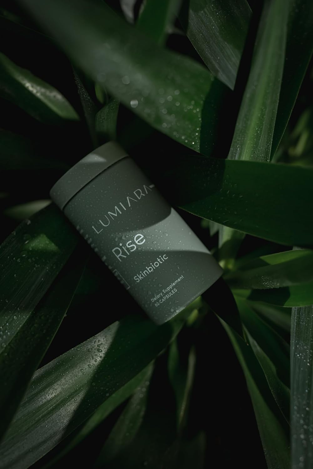 Plant-Based Collagen Booster for Women - Lumiara Rise Skinbiotic Skin Supplement - Beauty & Gut Health Support - Chemical-Free - 60 Capsules