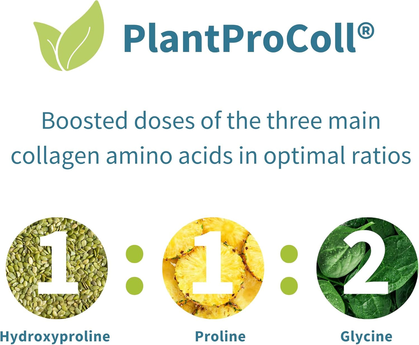 Plant-Based Collagen Peptide Powder with Vitamin C - Vegan Supplement for Skin & Joint Health - Non-GMO Formula - 140 Servings