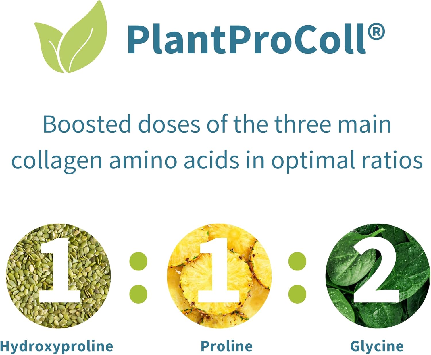 Plant-Based Collagen Peptide Powder with Vitamin C - Vegan Supplement for Skin & Joint Health - Non-GMO Formula - 140 Servings