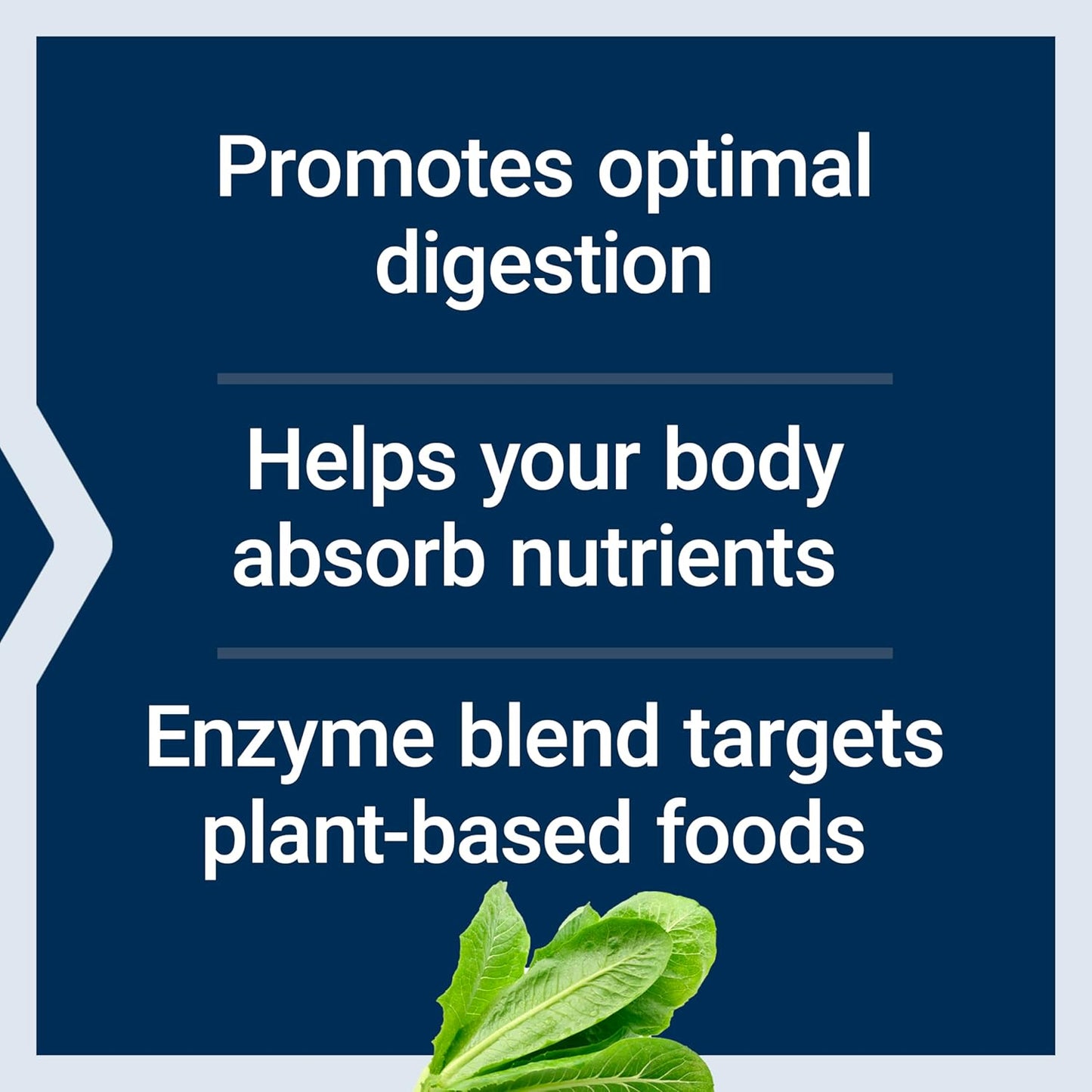 Plant-Based Digestive Health Formula with Probiotics & Enzymes - Non-GMO GI Balance Support - Vegetarian Capsules - 60 Count