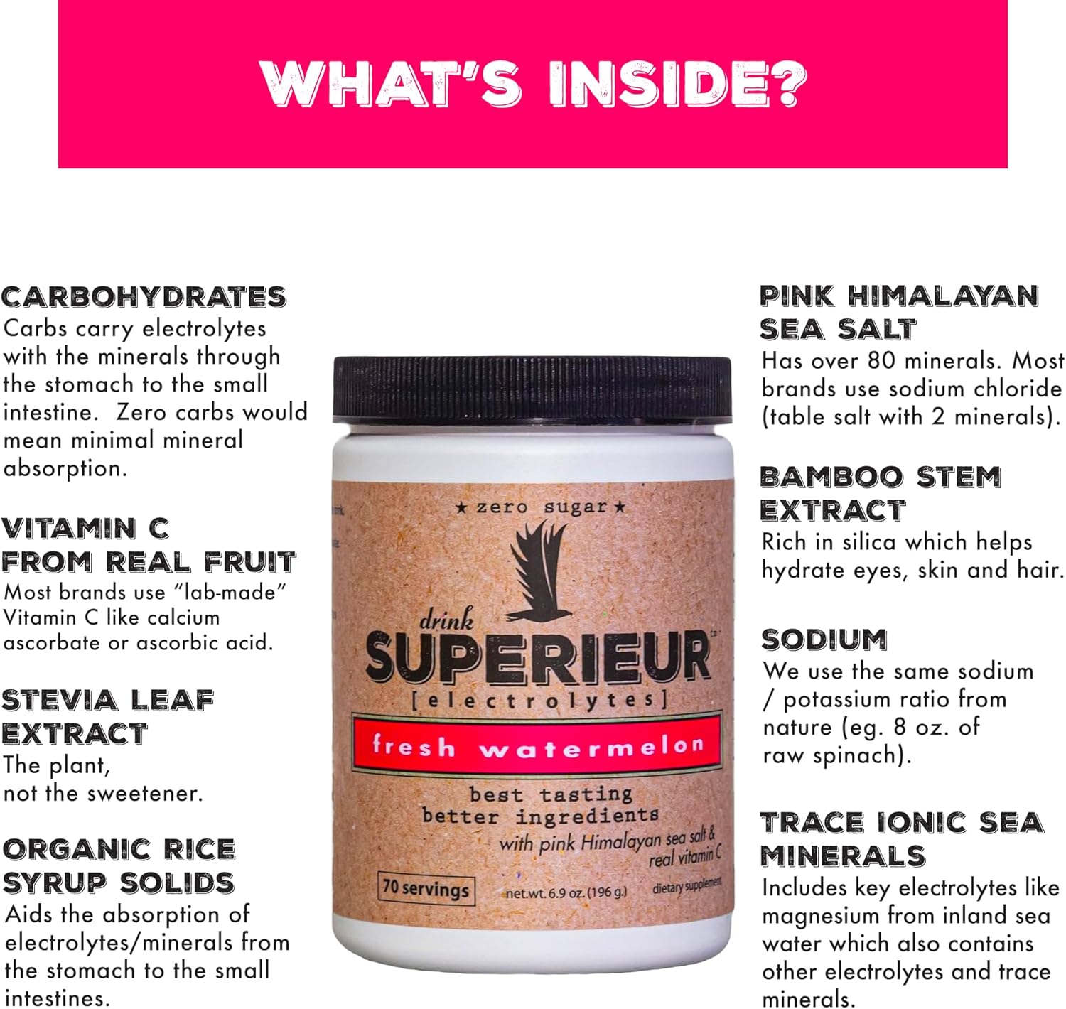 Plant-Based Electrolyte Supplement with Sea Minerals for Hydration & Recovery - Keto Friendly, Non-GMO, Vegan Sports Drink Powder - Watermelon Flavor (70 Servings)