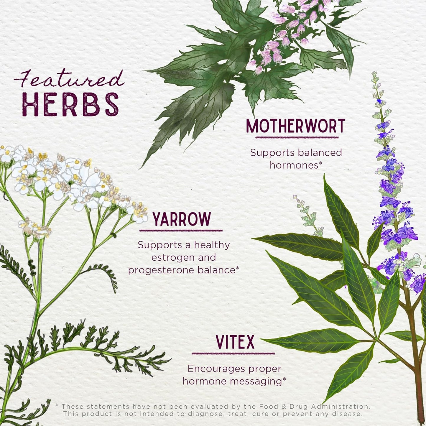 Plant-Based Hormone Support Supplement for Menstrual Cycle & PMS - WishGarden Herbs Cycle Harmony with Vitex & Wild Yam - 4oz