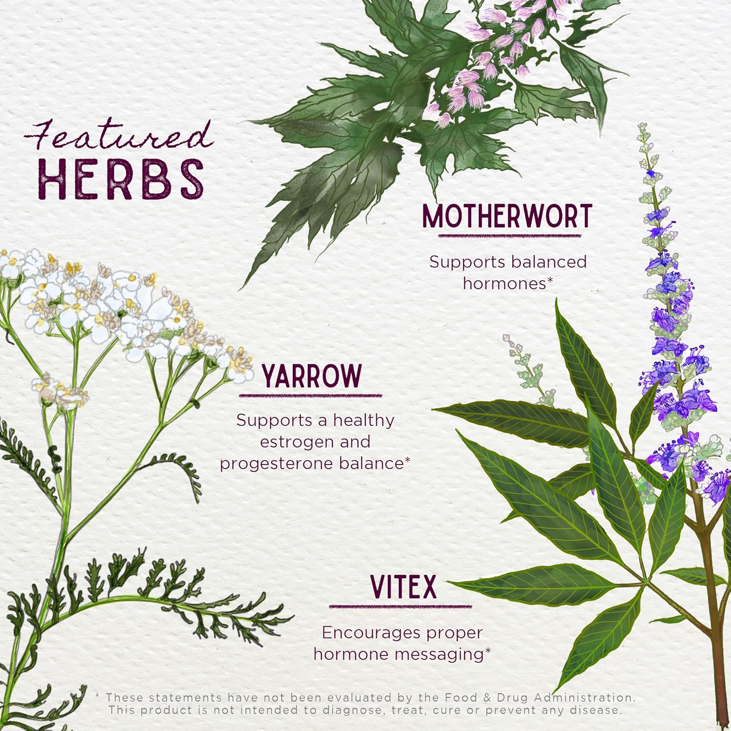Plant-Based Hormone Support Supplement for Menstrual Cycle & PMS - WishGarden Herbs Cycle Harmony with Vitex & Wild Yam - 4oz
