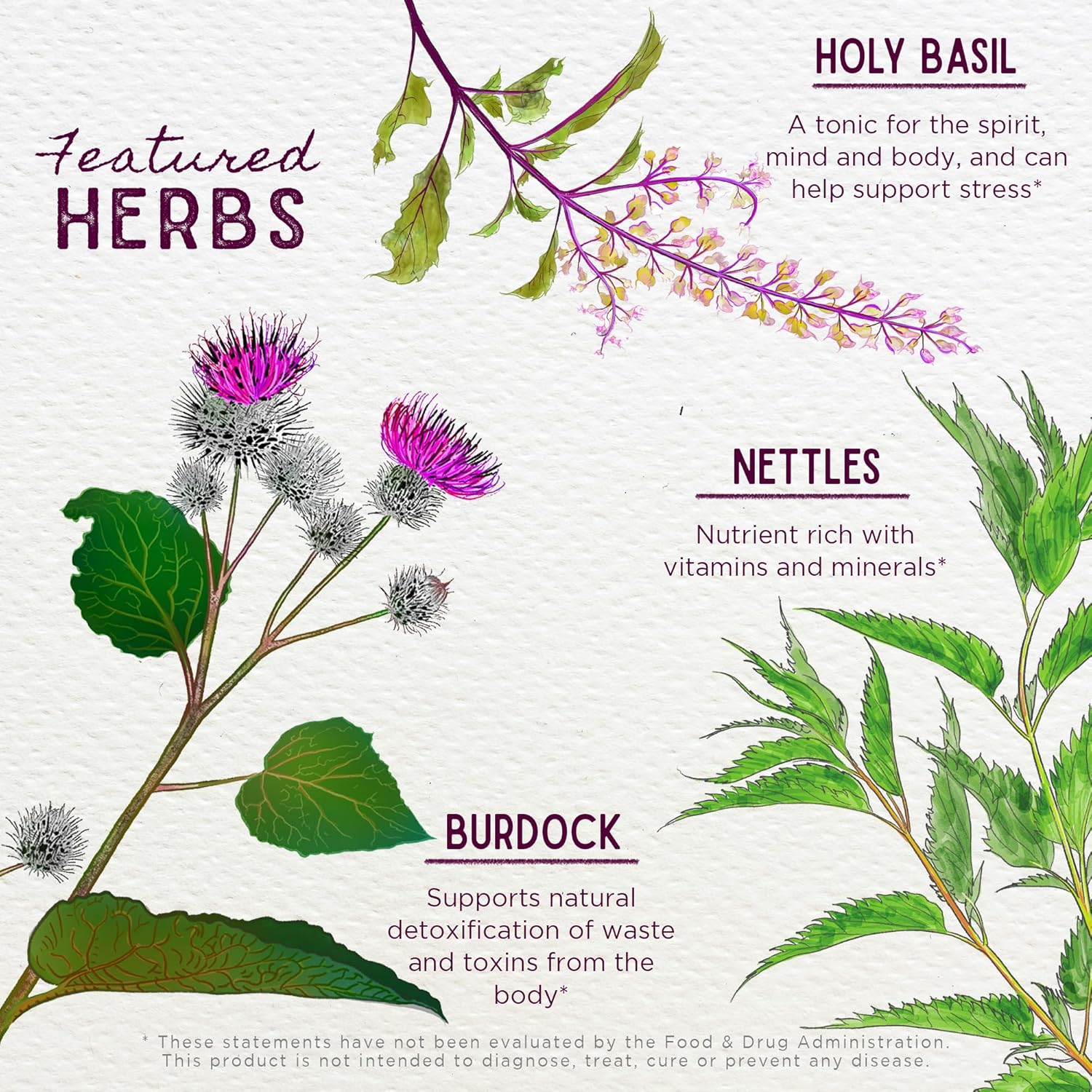 Plant-Based Menopause Support Supplement with Black Cohosh, Wild Yam, and Vitex for Hormone Balance - WishGarden Herbs Cycle Changes Herbal Formula for Women Transitioning to Menopause, 4oz