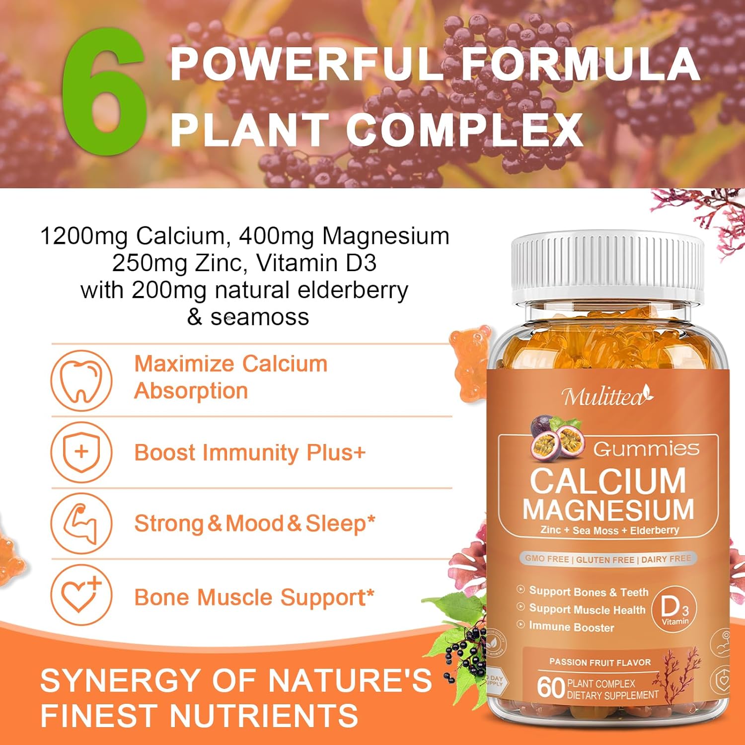Plant-Based Multivitamin Gummies with Calcium, D3, and Zinc for Bone and Immune Support - Sugar-Free Chewable Supplement with Magnesium, Potassium, and Vitamin C - 1 Pack