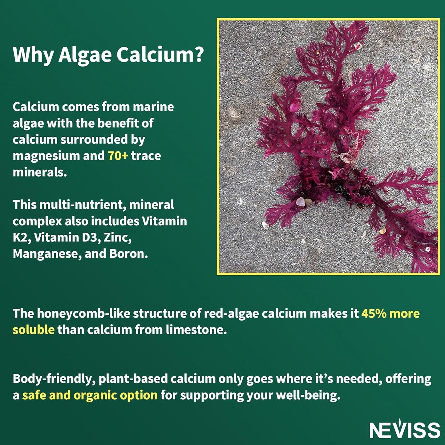 Plant-Based NEVISS Algae Calcium Gummies 600mg with Vitamins D3, C, Magnesium, Boron, Manganese - Bone Health & Strength Supplement - Sugar Free - Vegan - 60 Count
