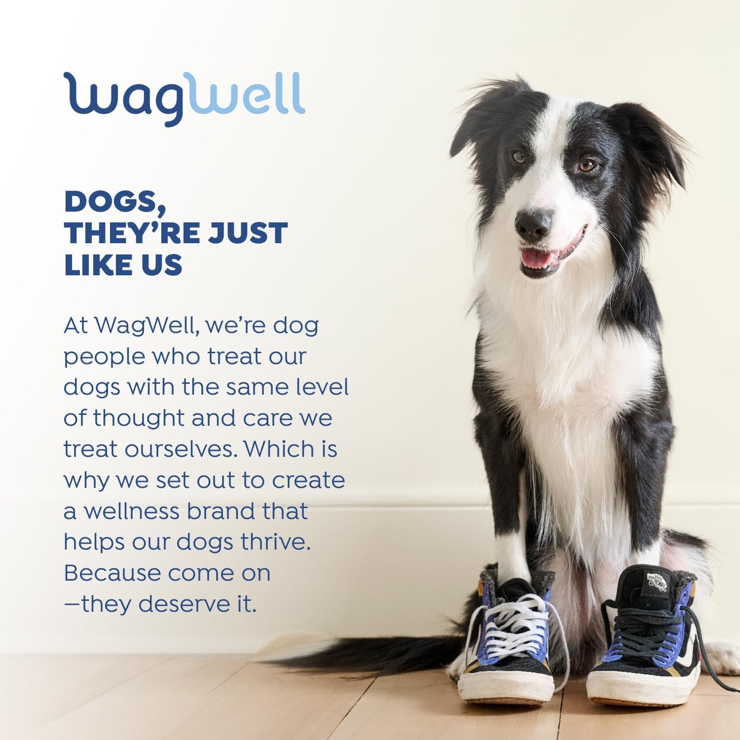 Plant-Based Omega 3, 6 & 9 Supplement for Dogs - Vet-Formulated Skin, Coat, Hip & Joint - Natural Non-GMO Omega Oil - 8 fl.oz.