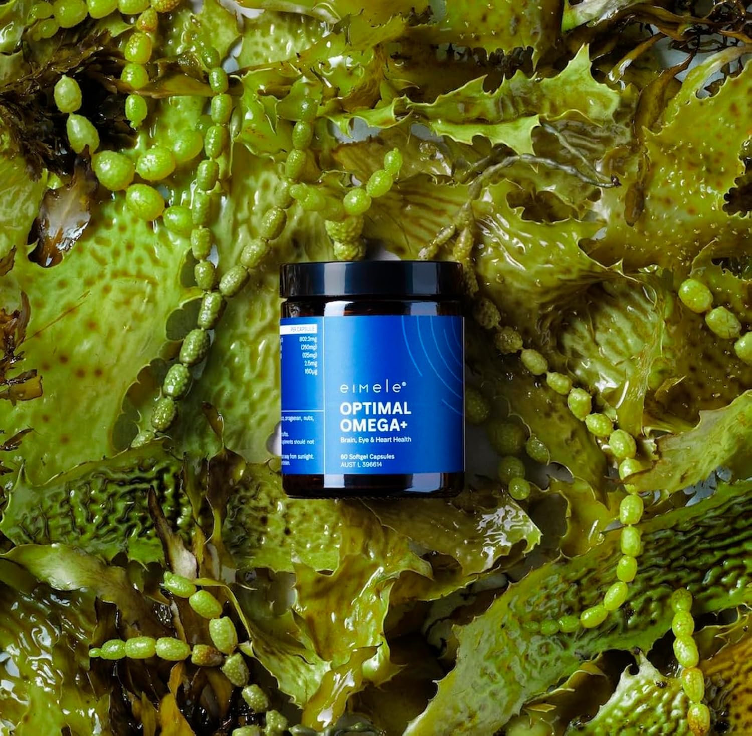 Plant-Based Omega-3 EPA & DHA Supplement for Brain, Eye, and Heart Health - eimele Optimal Omega+ - Vegan Antioxidant Support - Non-GMO - 60 Softgel Capsules