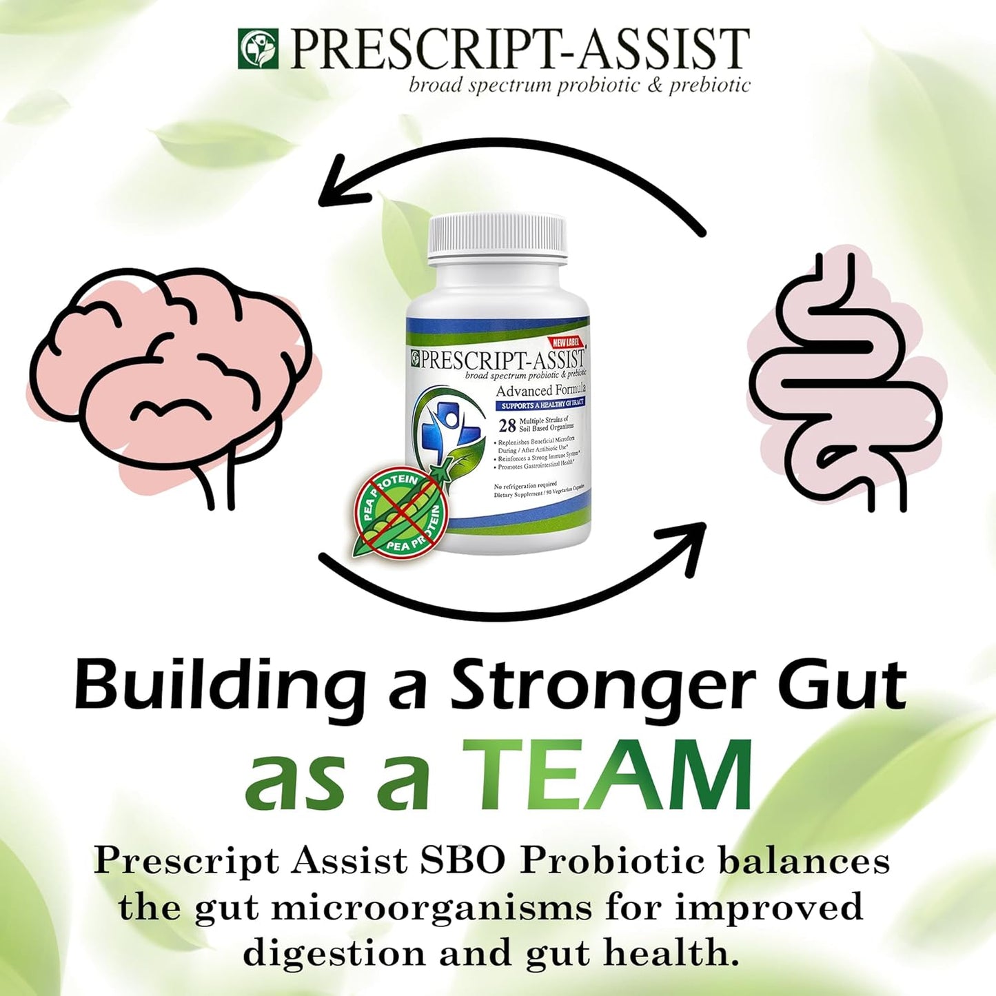 Plant-Based Prebiotics & Probiotics Capsules for Digestive & Immune Health - Vegan Formula, No Pea Protein, Supports Muscle Recovery & Gut Health - 90 Count