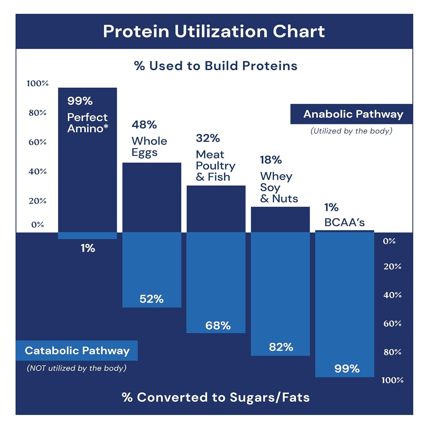 Plant-Based Protein Energy Bar with 10g Protein, MCT's, Superfood Blend, Kosher - Brownie Flavor (12 Pack)