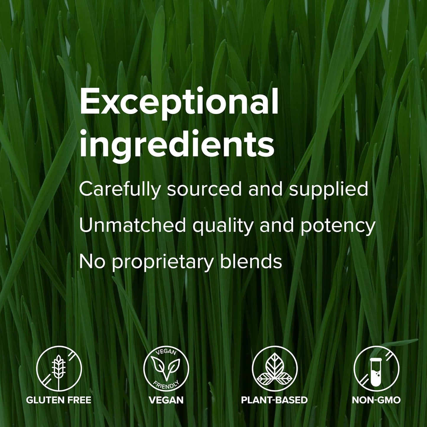 Plant-Based Protein Vegan Meal Shake for Vibrant Health, 15 Servings - Maximum Vibrance