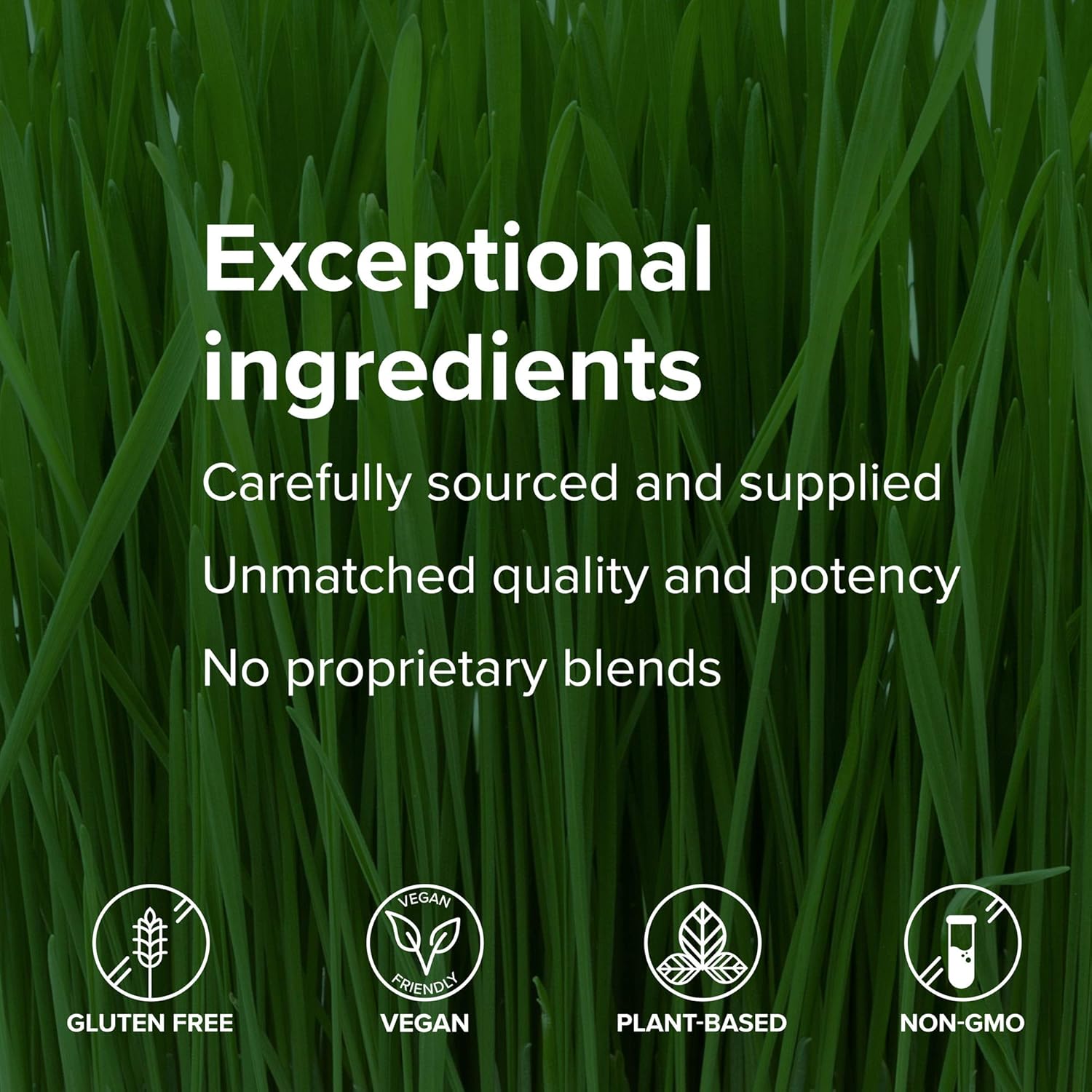 Plant-Based Protein Vegan Meal Shake for Vibrant Health, 15 Servings - Maximum Vibrance